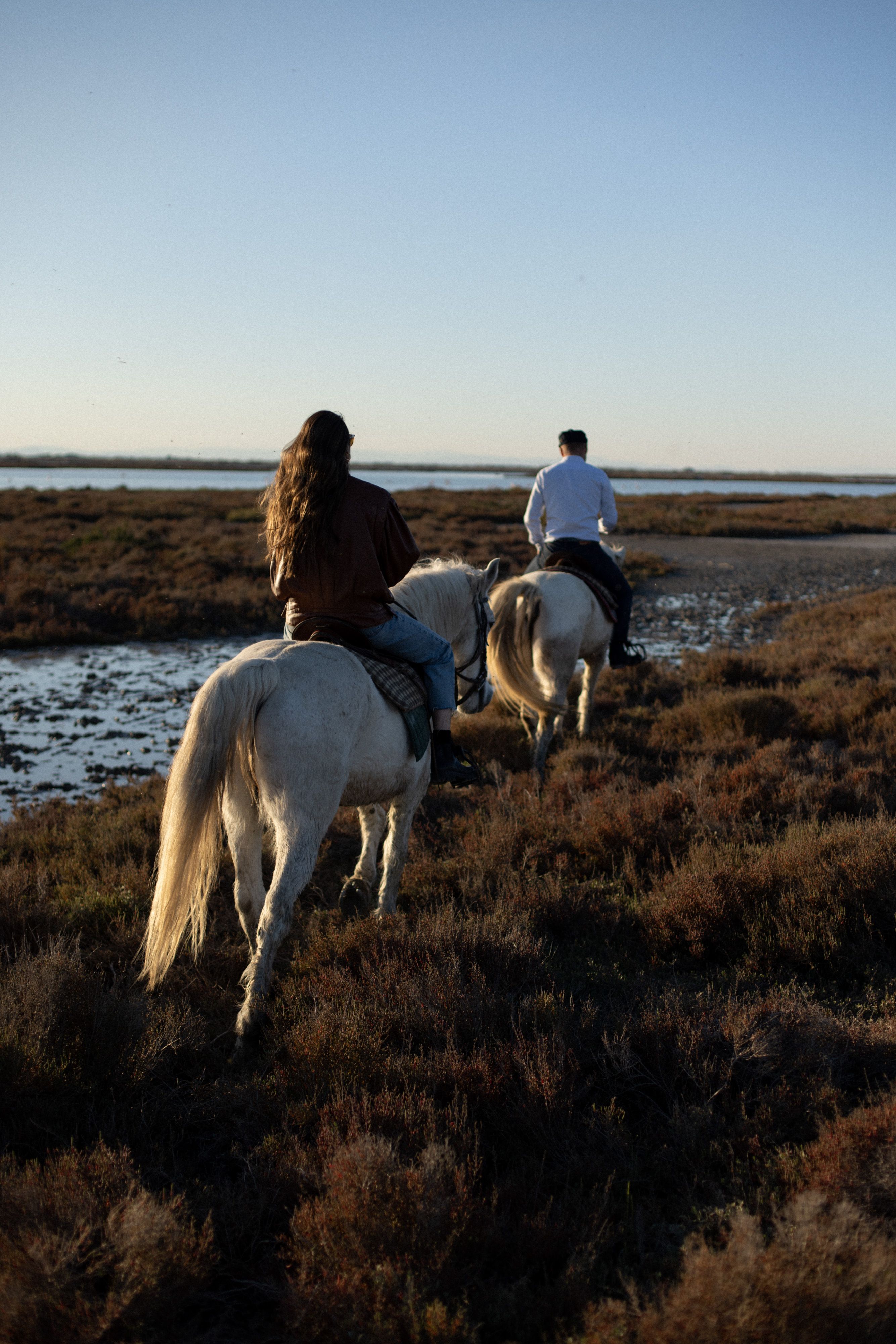 Horseback Riding Through the Camargue