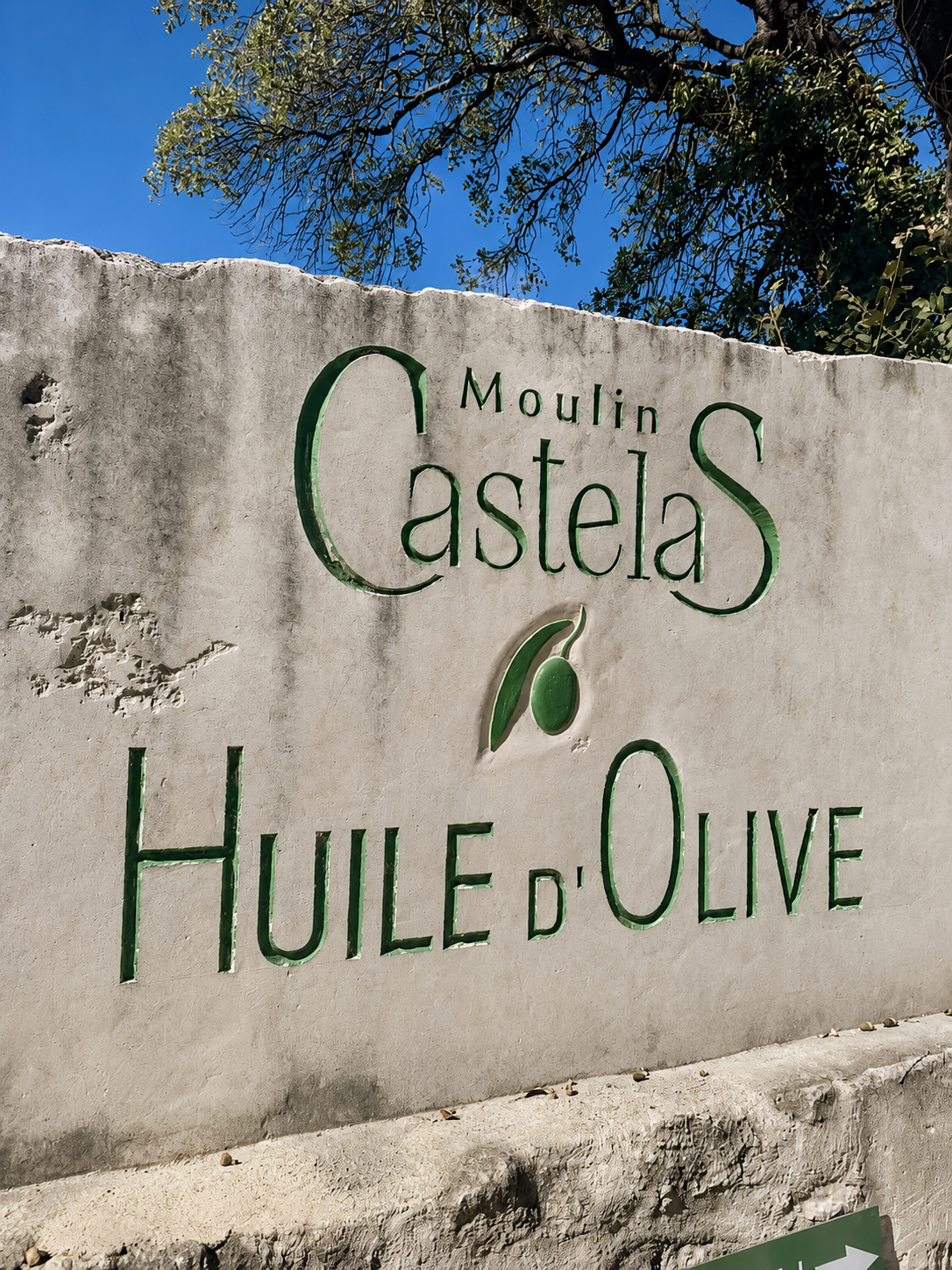 Tasting Olive Oil in the Alpilles
