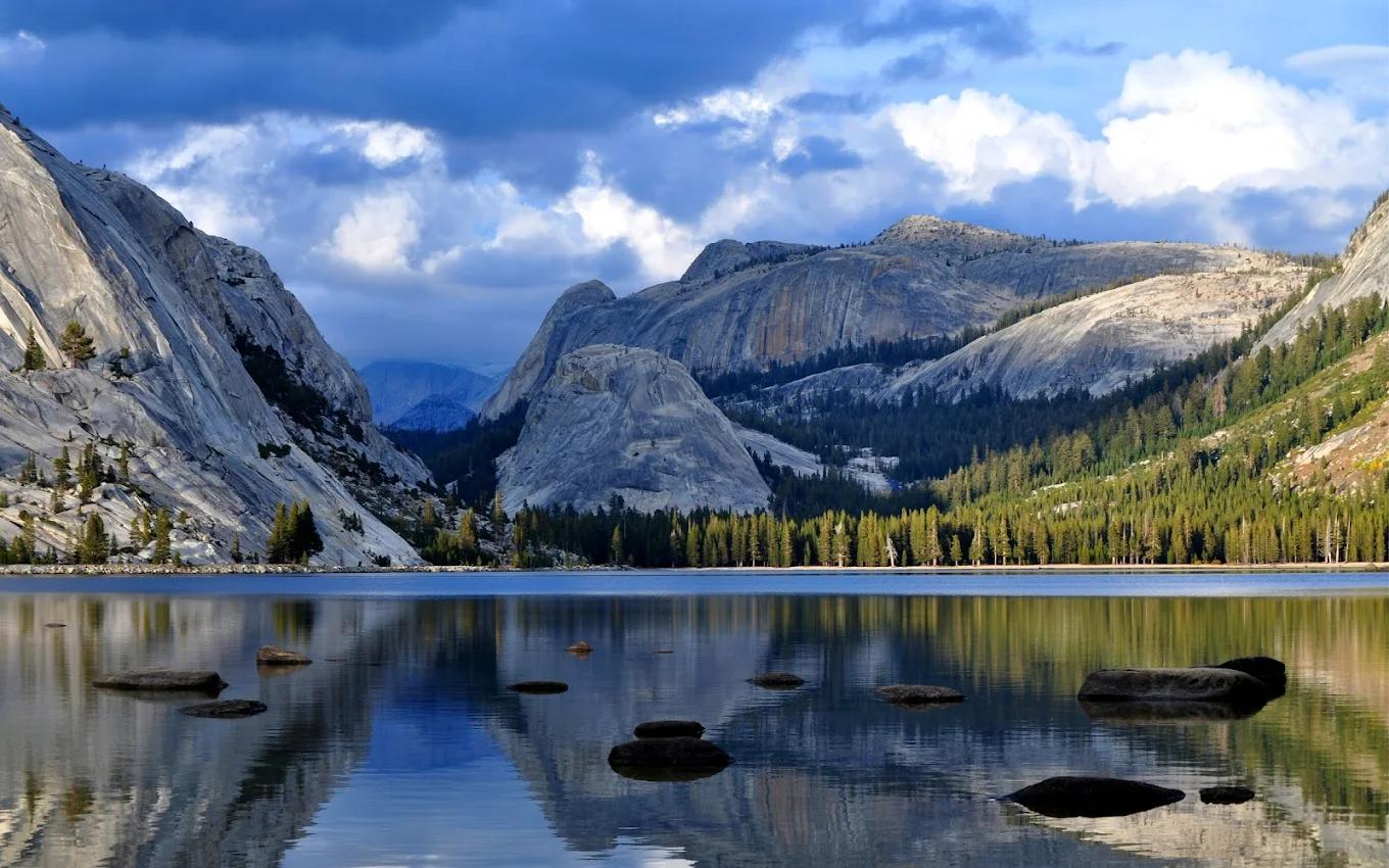 A Day in Yosemite Valley